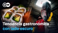 La expansión del sushi: consumo global y presión sobre las especies