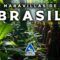 Maravillas de Brasil | Lugares Más Increíbles de Brasil | Guía de Viaje en 4K