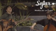 María de la Flor interpreta Desierto — Sofar Madrid
