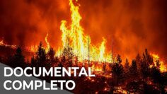 Megaincendios: la ciencia del fuego y los retos de prevención