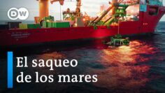 Minería submarina: lo que está en juego en el fondo del océano