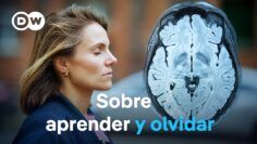 Nuestra memoria: cómo seleccionamos y conservamos lo aprendido
