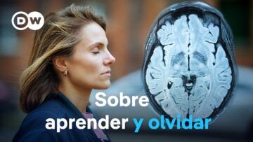 Nuestra memoria: cómo seleccionamos y conservamos lo aprendido