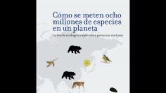 Ocho millones de especies en un planeta — Ignasi Bartomeus