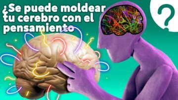 ¿Qué es la neuroplasticidad?