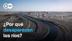 Ríos en crisis: agua y conflictos en cuatro continentes
