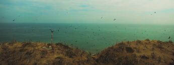 Vive nuestra biodiversidad — INABIO